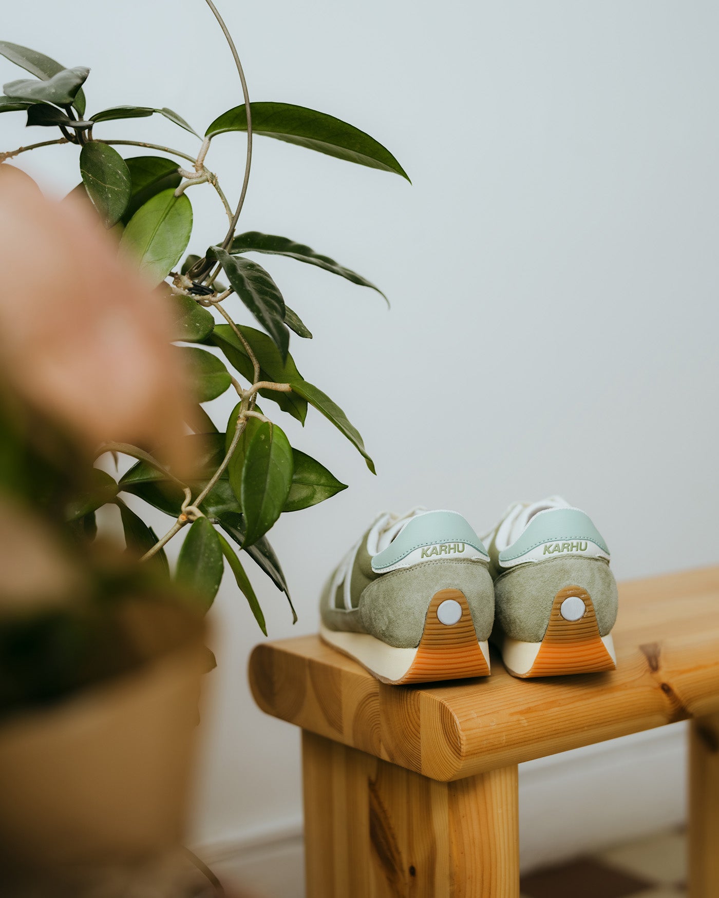 MESTARI 76 - TEA / LICHEN