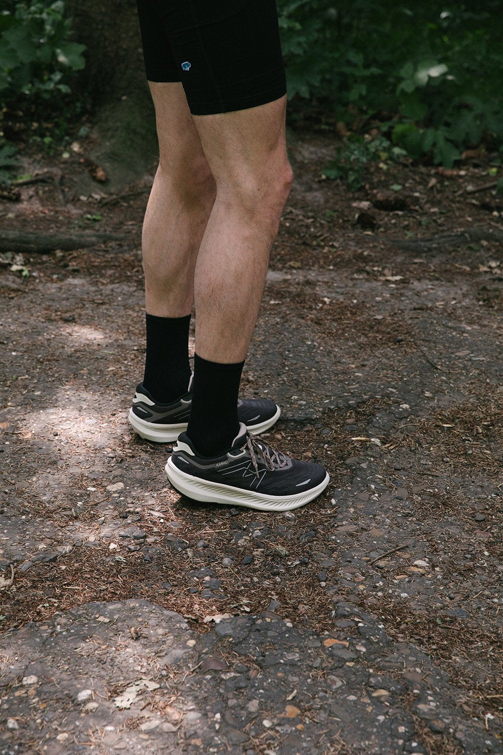 KARHU men's fusion 4.5 - plum kitten / wet weather | Running shoe