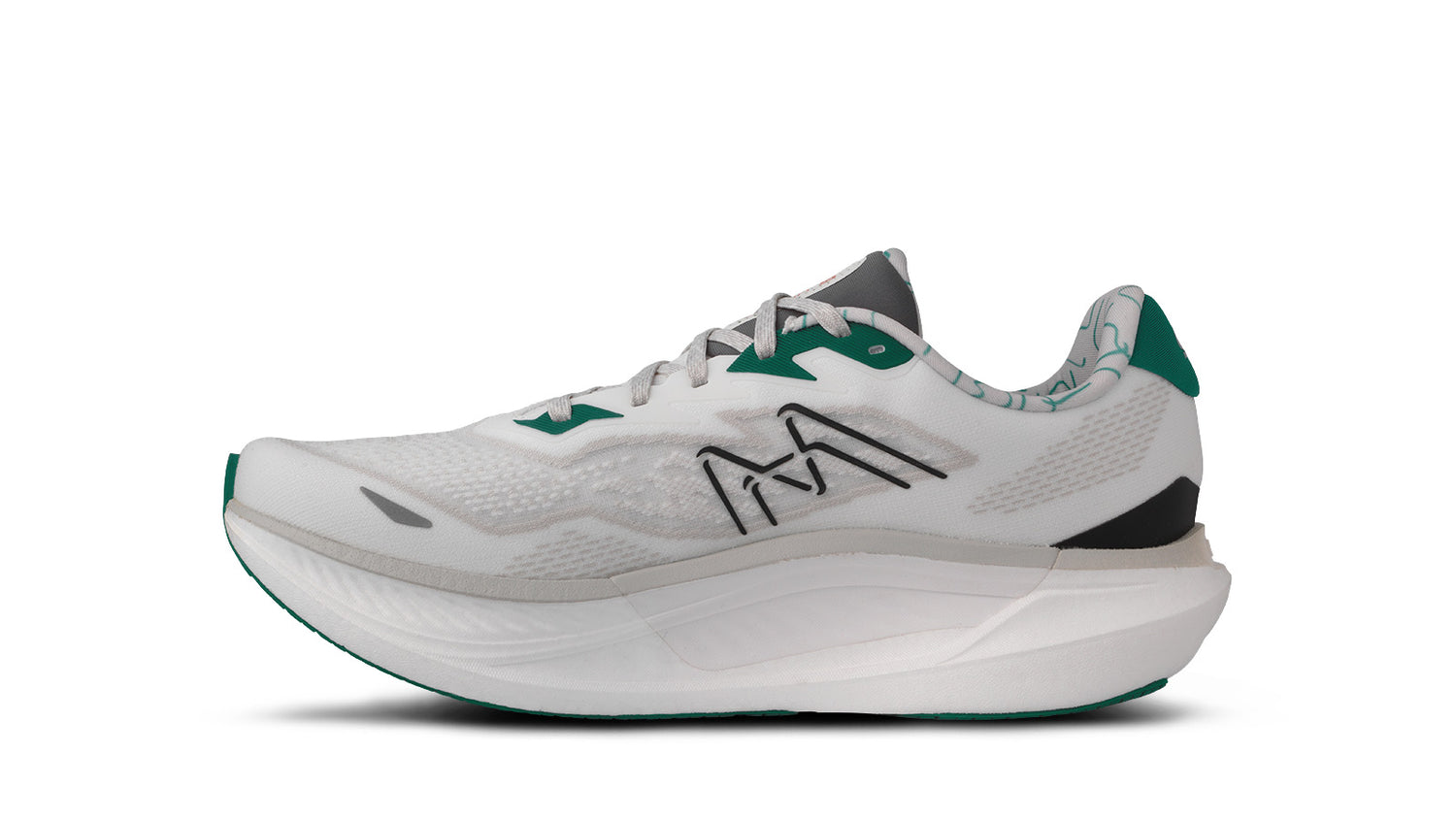 MEN'S FUSION 5.0 - BLANC DE BLANC / ULTRAMARINE GREEN